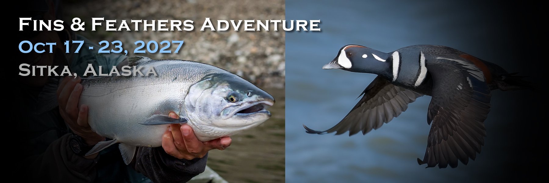 Fins & Feathers Adventure