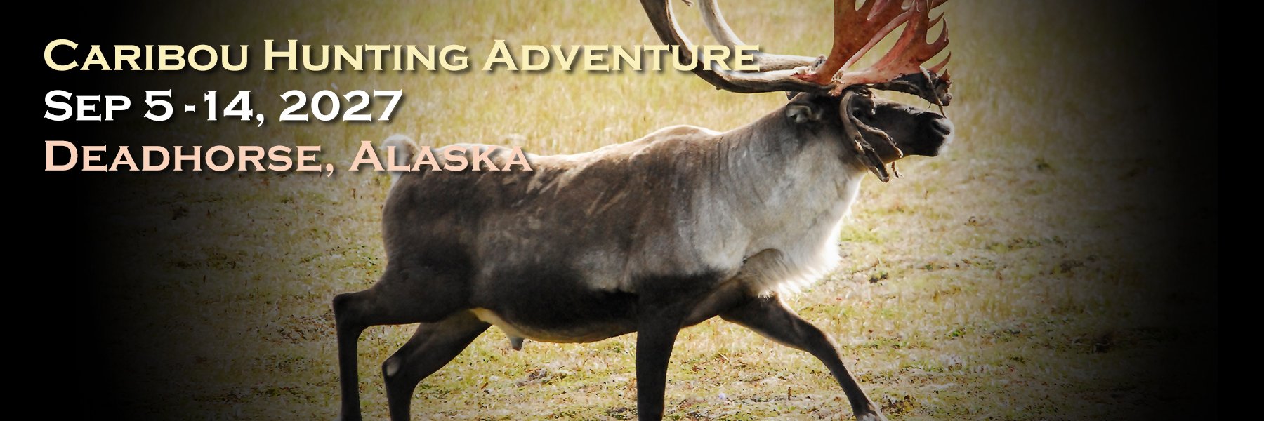 Caribou Hunting Adventure