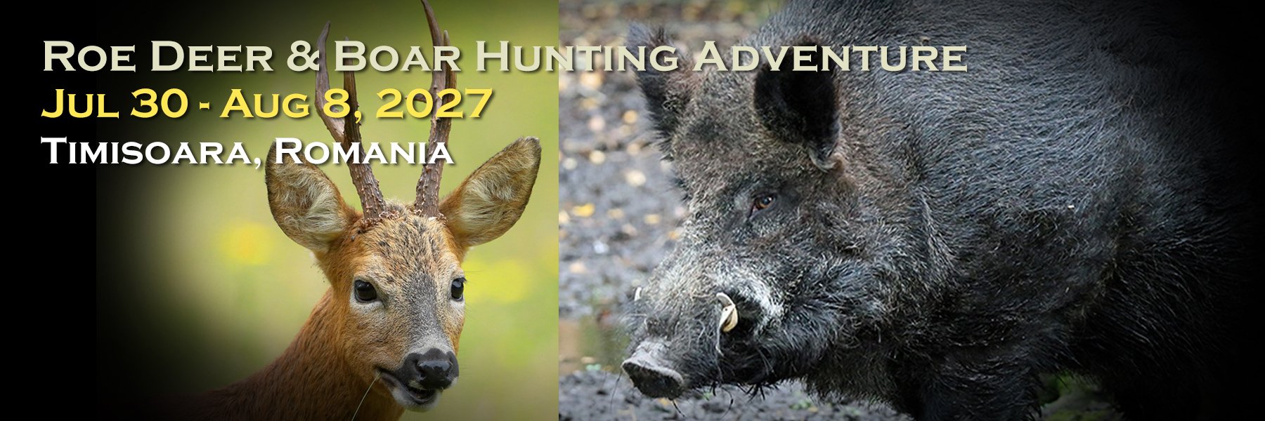 Roe Deer & Boar Hunting Adventure